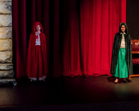 Beauty and the Beast (10 of 531)