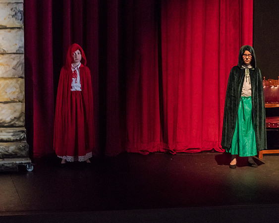 Beauty and the Beast (10 of 531)