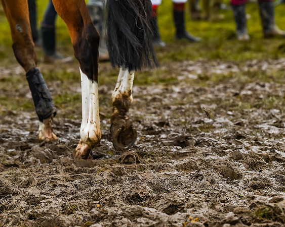 Cazenove Capital Mixed Open Race