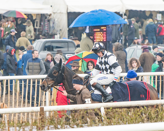 Race 5 - Restricted Race-4