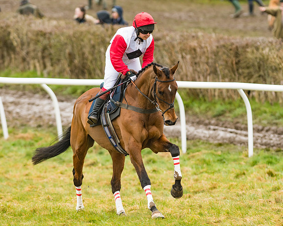 Cazenove Capital Mixed Open Race
