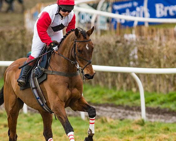 Cazenove Capital Mixed Open Race