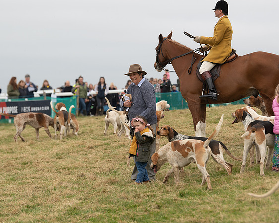 Hounds and Others (53 of 100)
