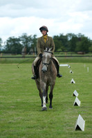 Jackson Dressage 9