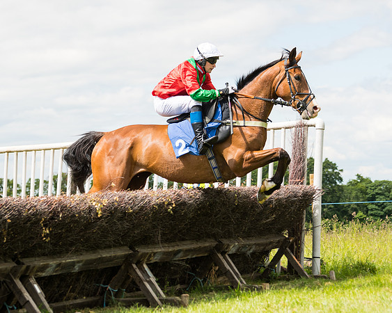 Race 2 - PPORA Novice Riders  (99 of 187)