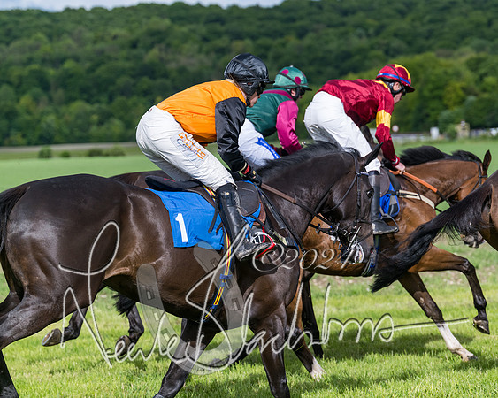 Race 5 - Restricted Race (222 of 434)