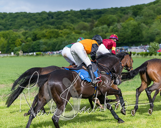 Race 5 - Restricted Race (226 of 434)