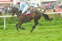 Old Berks at Lockinge PPORA novice and veteran riders race