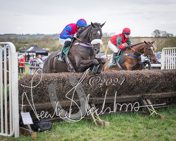 Race 6 - The Restricted Race (53 of 101)