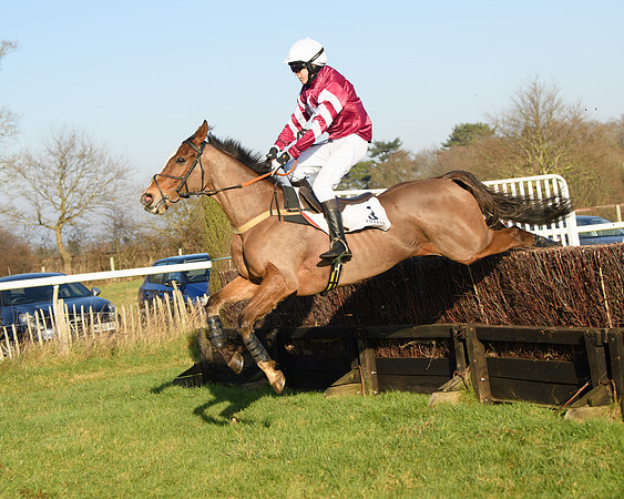 Race 2 - PPORA Novice Riders  (185 of 205)