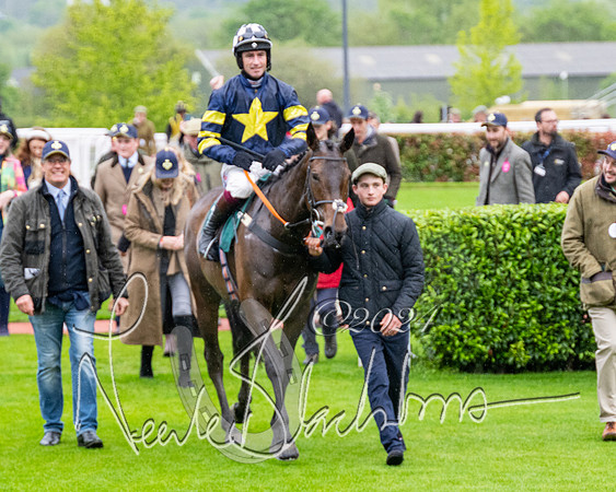 Race 5 - Mares Open  (82 of 129)