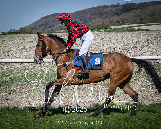 Race 5 - The restricted (35 of 113)