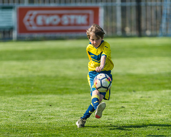 Moneyfields 2 Rams 4