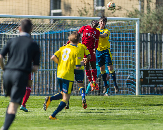 Moneyfields 2 Rams 4