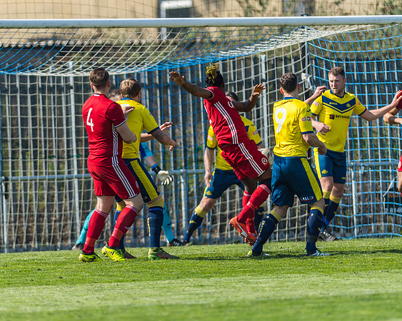 Moneyfields 2 Rams 4