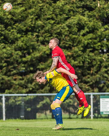 Moneyfields 2 Rams 4