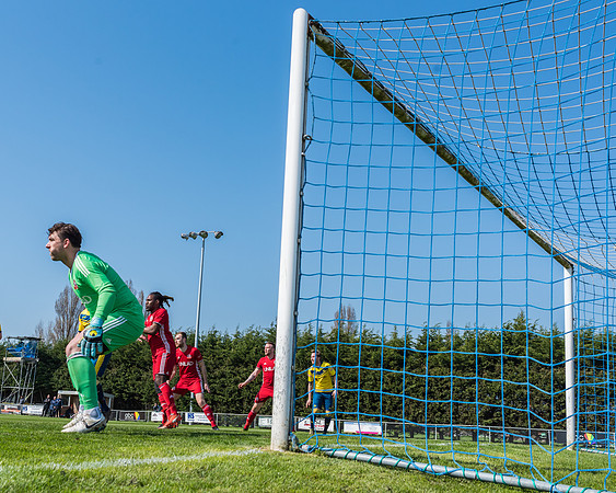 Moneyfields 2 Rams 4