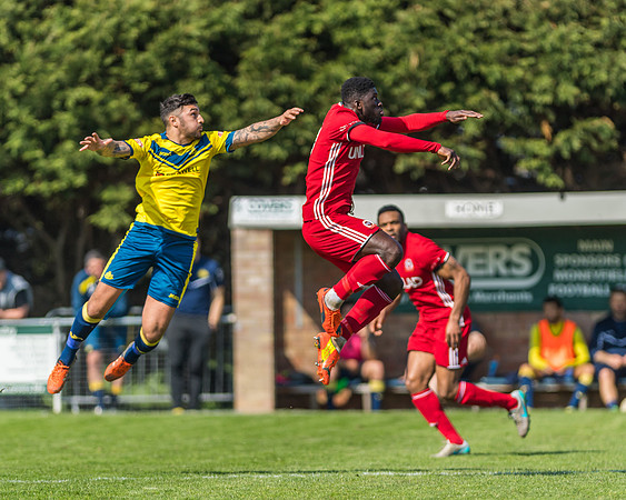 Moneyfields 2 Rams 4