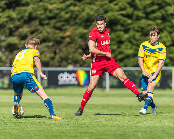 Moneyfields 2 Rams 4