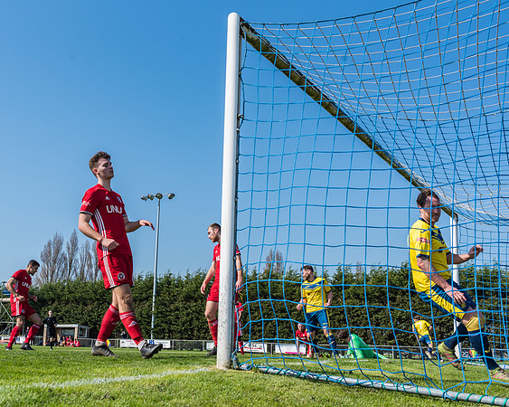 Moneyfields 2 Rams 4