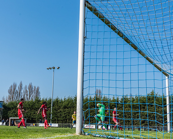 Moneyfields 2 Rams 4