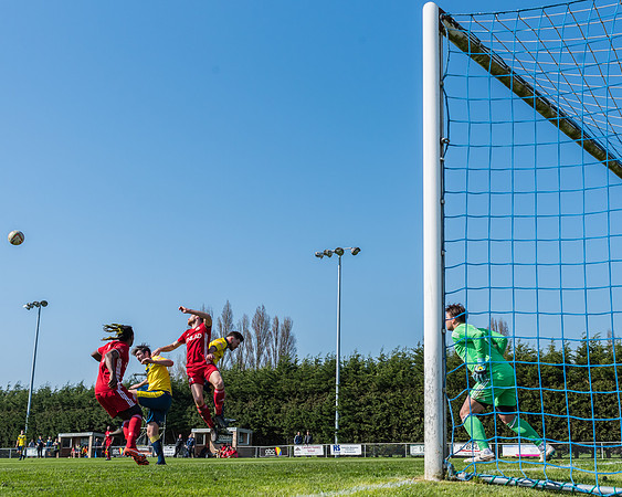 Moneyfields 2 Rams 4
