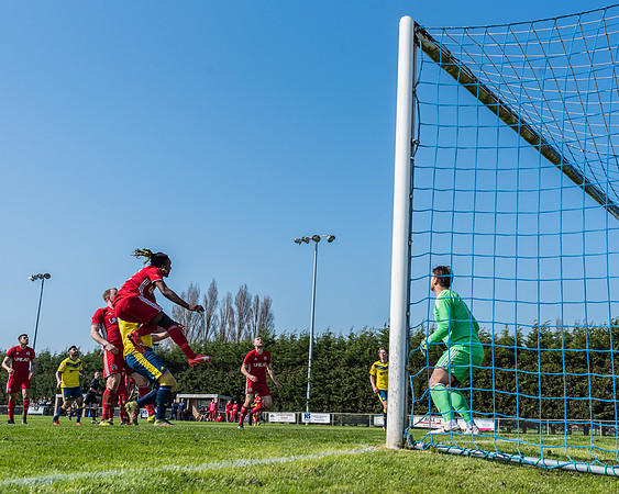 Moneyfields 2 Rams 4
