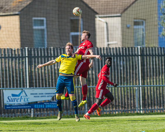 Moneyfields 2 Rams 4