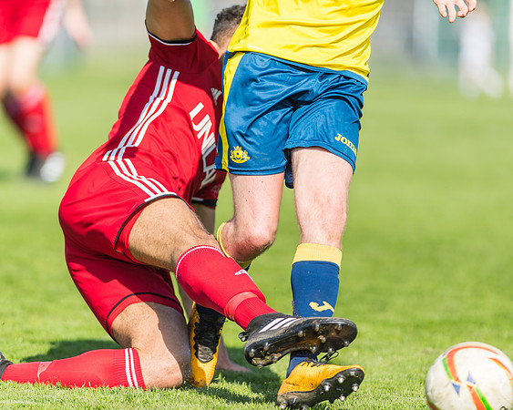 Moneyfields 2 Rams 4