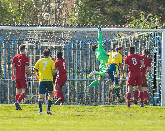 Moneyfields 2 Rams 4
