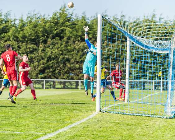 Moneyfields 2 Rams 4