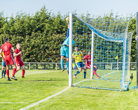Moneyfields 2 Rams 4