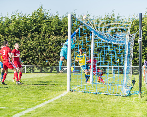 Moneyfields 2 Rams 4