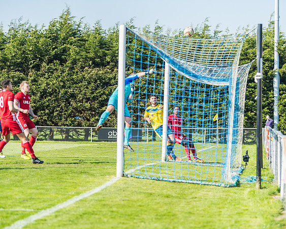 Moneyfields 2 Rams 4