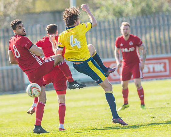 Moneyfields 2 Rams 4