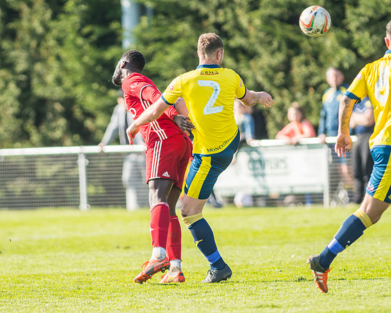 Moneyfields 2 Rams 4