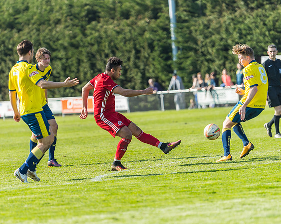 Moneyfields 2 Rams 4