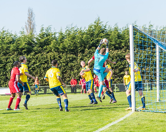 Moneyfields 2 Rams 4