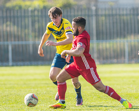 Moneyfields 2 Rams 4