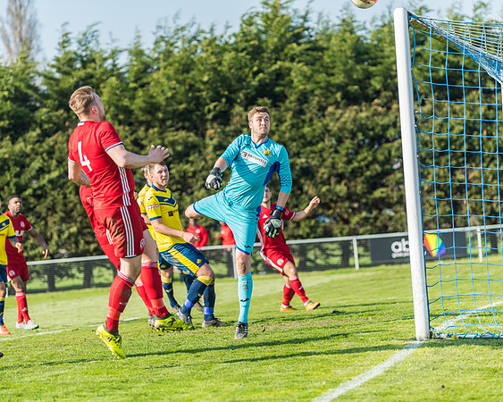 Moneyfields 2 Rams 4