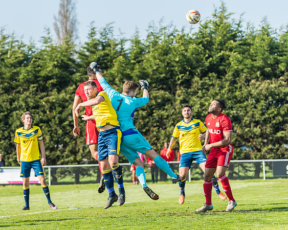 Moneyfields 2 Rams 4