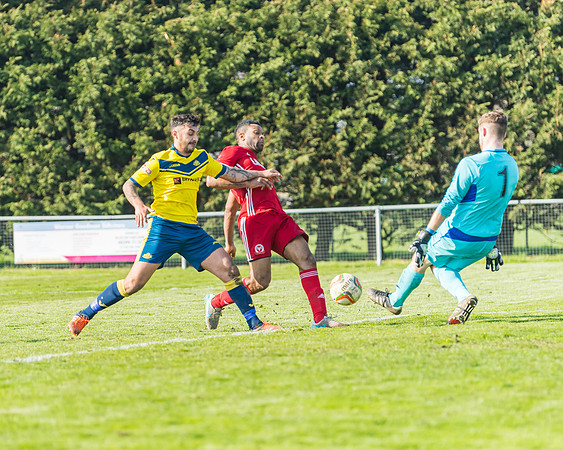 Moneyfields 2 Rams 4