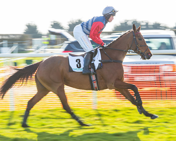 Race 5 - TBA members Mares and Fillies race (15 of 101).jpg