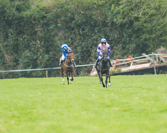 Pony Race 1 - 138cm