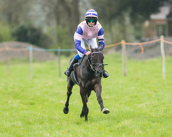 Pony Race 1 - 138cm