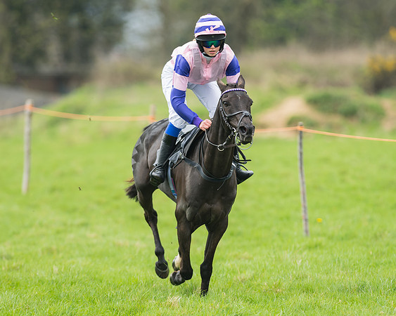 Pony Race 1 - 138cm