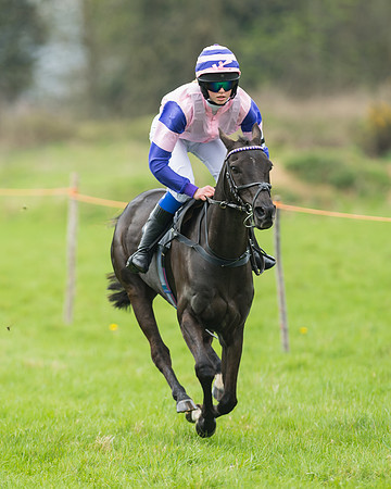 Pony Race 1 - 138cm