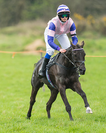 Pony Race 1 - 138cm