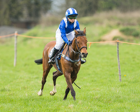 Pony Race 1 - 138cm