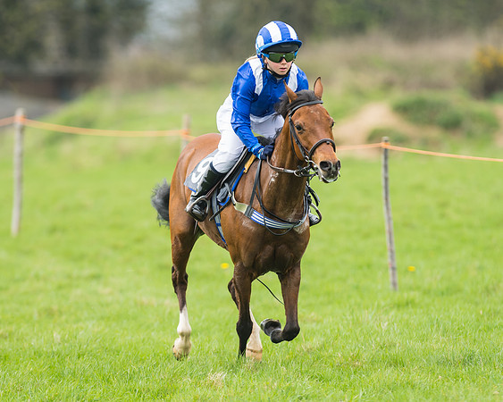 Pony Race 1 - 138cm